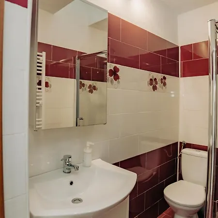 Apartment City Centre House Sibiu